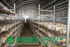 潞城省黄石市食用菌温室大棚公司