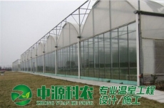 潞城六安市食用菌温室大棚公司