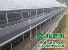 潞城食用菌温室大棚公司建设、温室建造、大棚建设